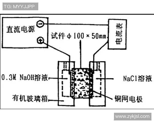 深圳排球队边路渗透战术分析及其对比赛胜负的影响探讨